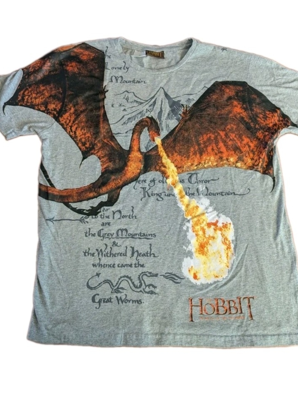 The Kids Grey Dragon Graphic Tee